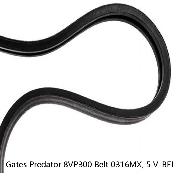 Gates Predator 8VP300 Belt 0316MX, 5 V-BELTS WIDE, 25' 