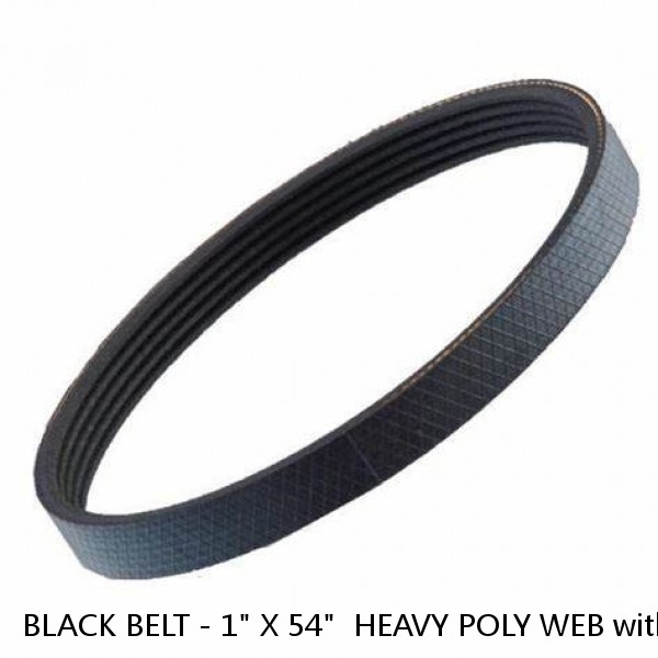 BLACK BELT - 1" X 54"  HEAVY POLY WEB with SIDE RELEASE BUCKLE