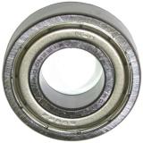 Best selling deep groove ball bearing 6202DDU high quality nsk brand from Japan famous brand cheap
