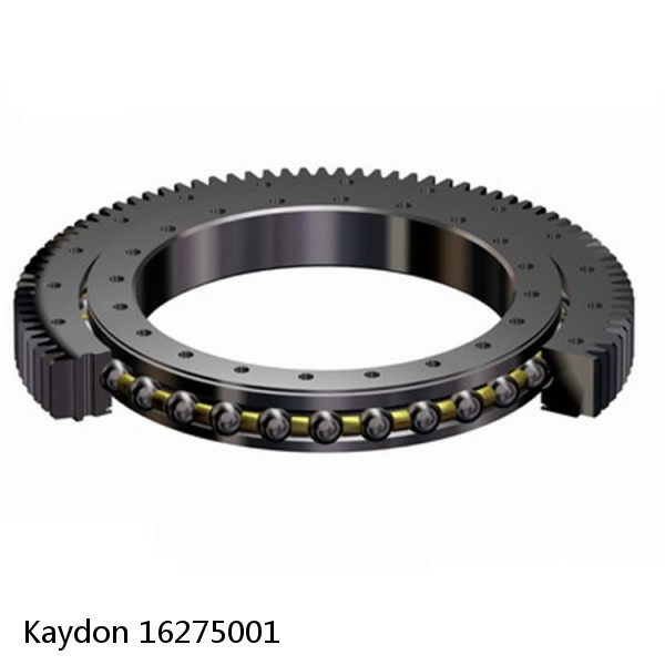 16275001 Kaydon Slewing Ring Bearings #1 small image