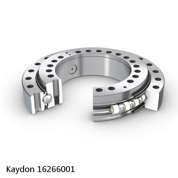 16266001 Kaydon Slewing Ring Bearings #1 small image