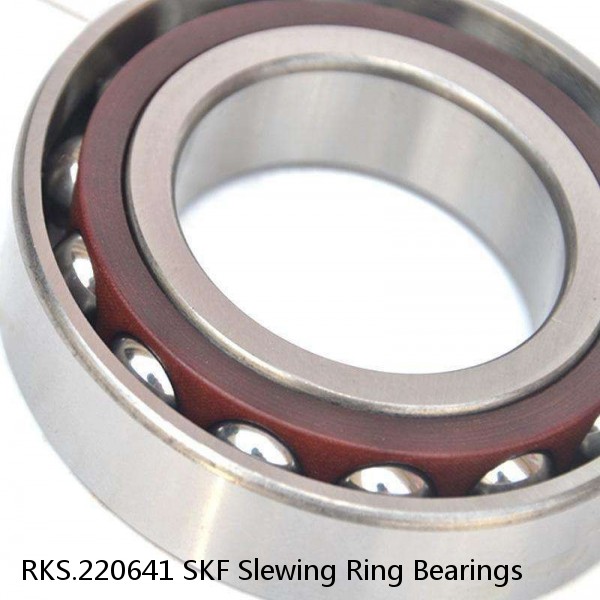 RKS.220641 SKF Slewing Ring Bearings #1 small image