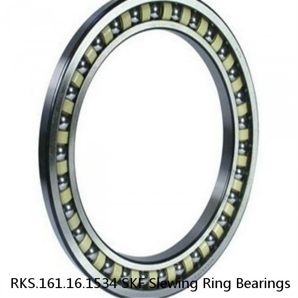 RKS.161.16.1534 SKF Slewing Ring Bearings #1 small image