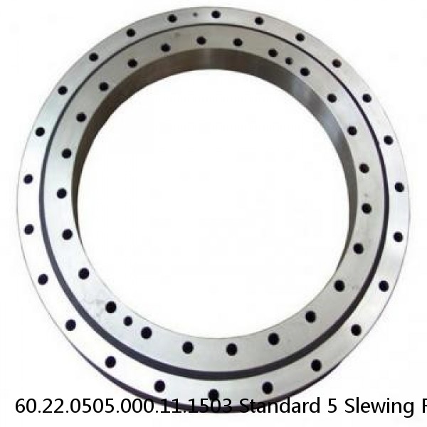 60.22.0505.000.11.1503 Standard 5 Slewing Ring Bearings #1 small image