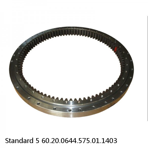 60.20.0644.575.01.1403 Standard 5 Slewing Ring Bearings #1 small image