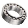 Stock BS 22220 21310 W33c3 Roller Bearing with Polymer Shields -30 Degrees