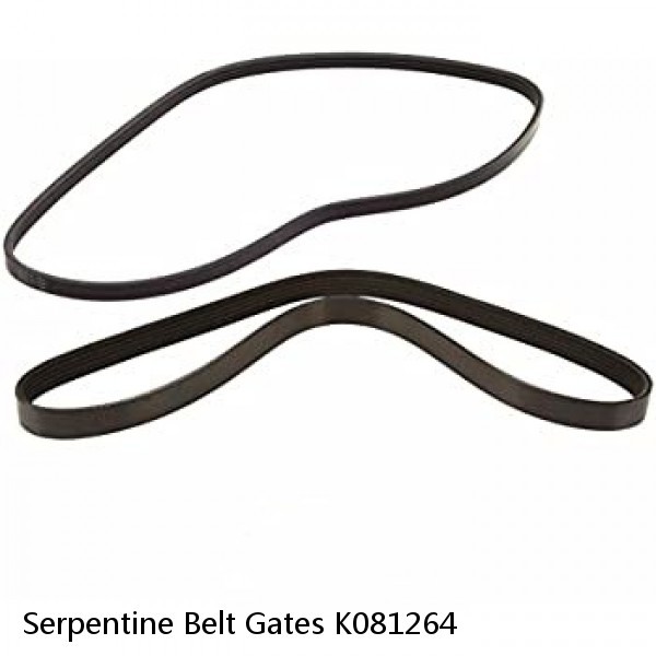 Serpentine Belt Gates K081264 #1 small image