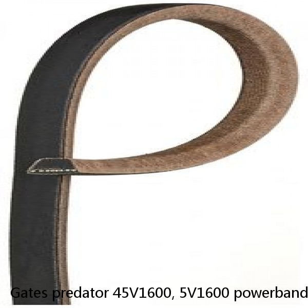 Gates predator 45V1600, 5V1600 powerband 4 rib belt #1 small image