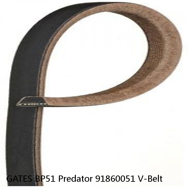 GATES BP51 Predator 91860051 V-Belt #1 small image