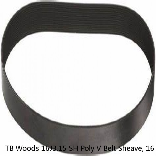 TB Woods 16J3.15 SH Poly V Belt Sheave, 16 Groove, J Type, 3.15" OD, SH Bushing #1 small image