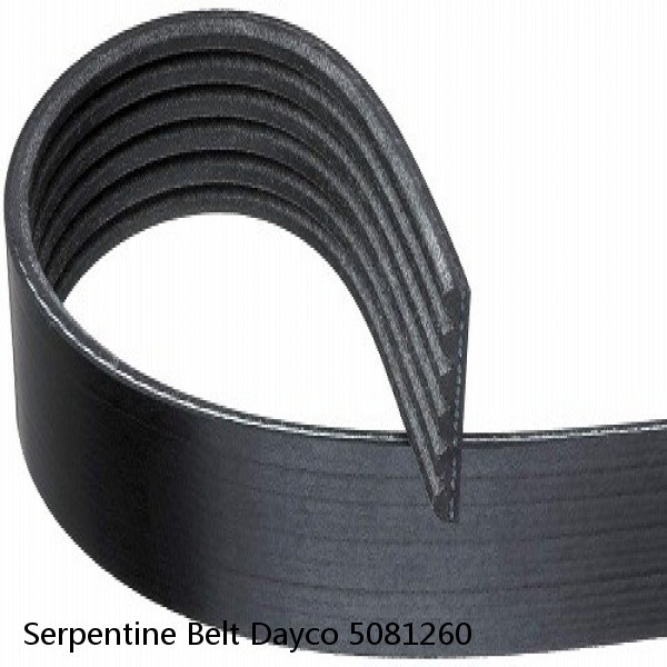 Serpentine Belt Dayco 5081260 #1 small image