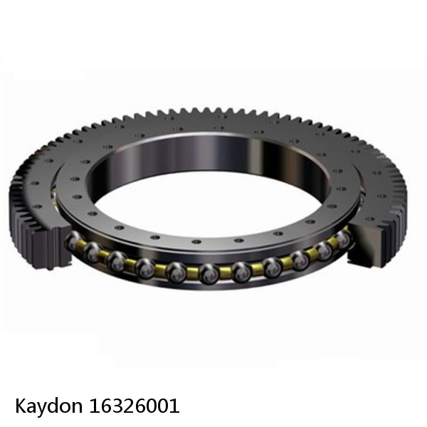 16326001 Kaydon Slewing Ring Bearings #1 image