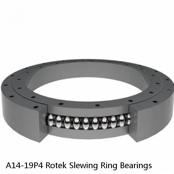 A14-19P4 Rotek Slewing Ring Bearings #1 image