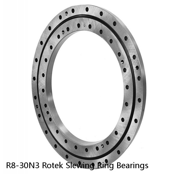 R8-30N3 Rotek Slewing Ring Bearings #1 image