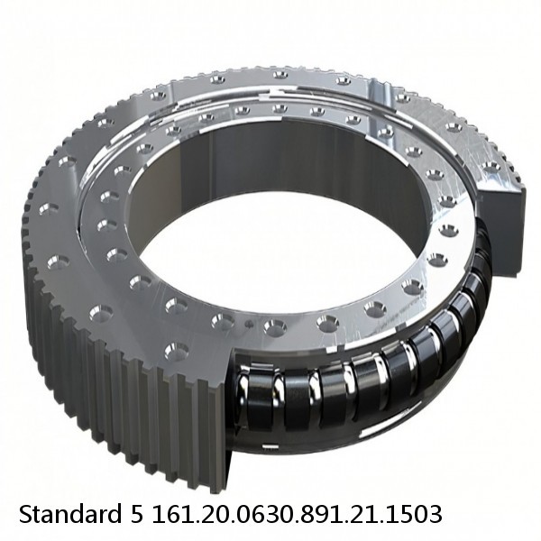 161.20.0630.891.21.1503 Standard 5 Slewing Ring Bearings #1 image