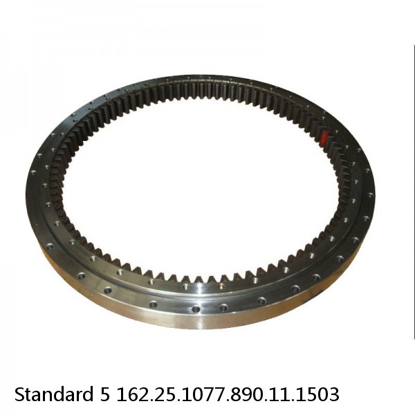 162.25.1077.890.11.1503 Standard 5 Slewing Ring Bearings #1 image