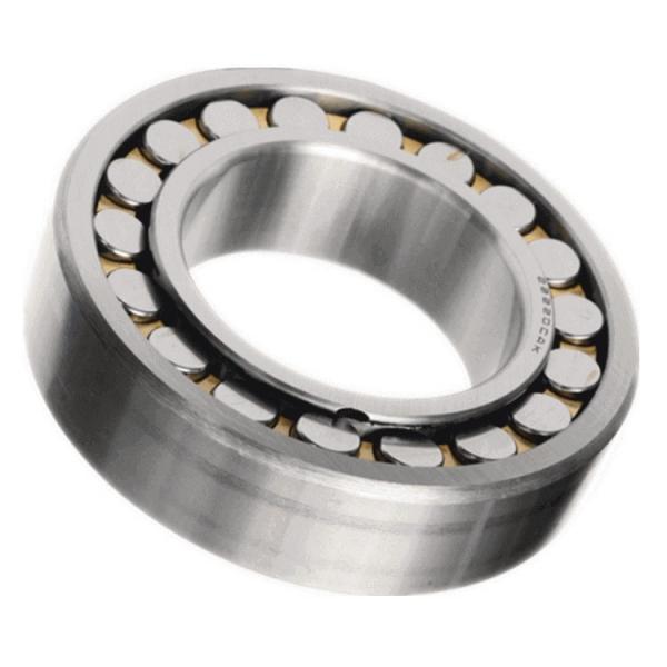 Stock BS 22220 21310 W33c3 Roller Bearing with Polymer Shields -30 Degrees #1 image