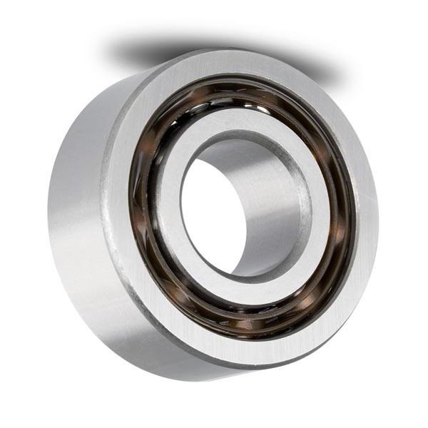 Chrome Steel Gcr15 Long Life 35*100*25mm Cylindrical Roller Bearing NJ407 #1 image