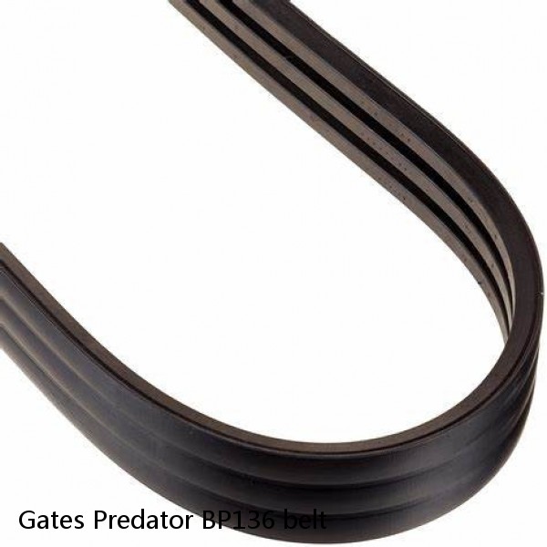 Gates Predator BP136 belt #1 image