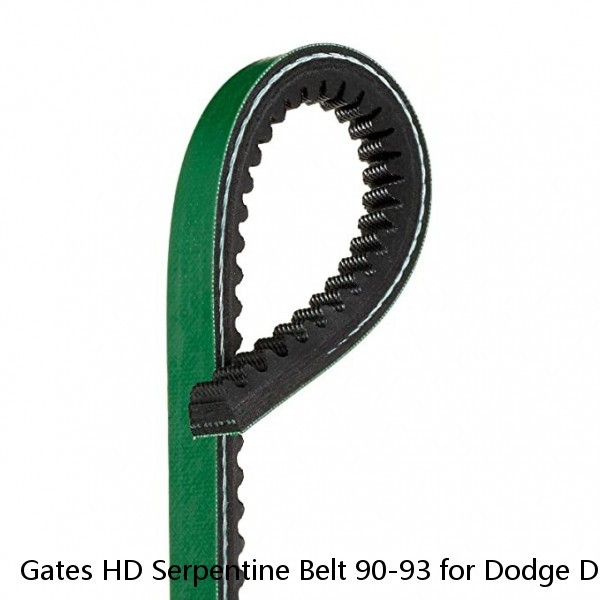 Gates HD Serpentine Belt 90-93 for Dodge D + W Cummins Diesel 5.9L Diesel   #1 image