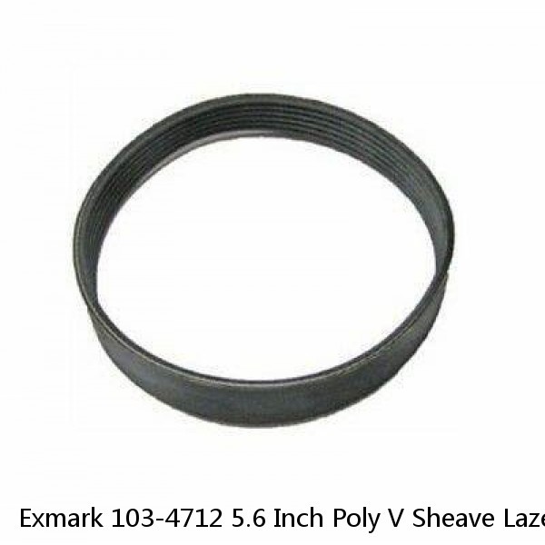 Exmark 103-4712 5.6 Inch Poly V Sheave Lazer Z XS #1 image