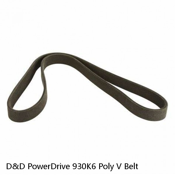 D&D PowerDrive 930K6 Poly V Belt #1 image