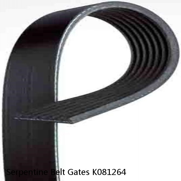 Serpentine Belt Gates K081264 #1 image
